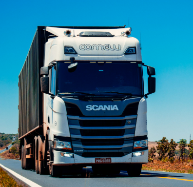 <em><strong>Elena J.</strong></em>